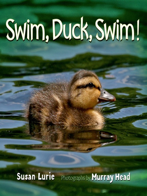 Title details for Swim, Duck, Swim! by Susan Lurie - Wait list